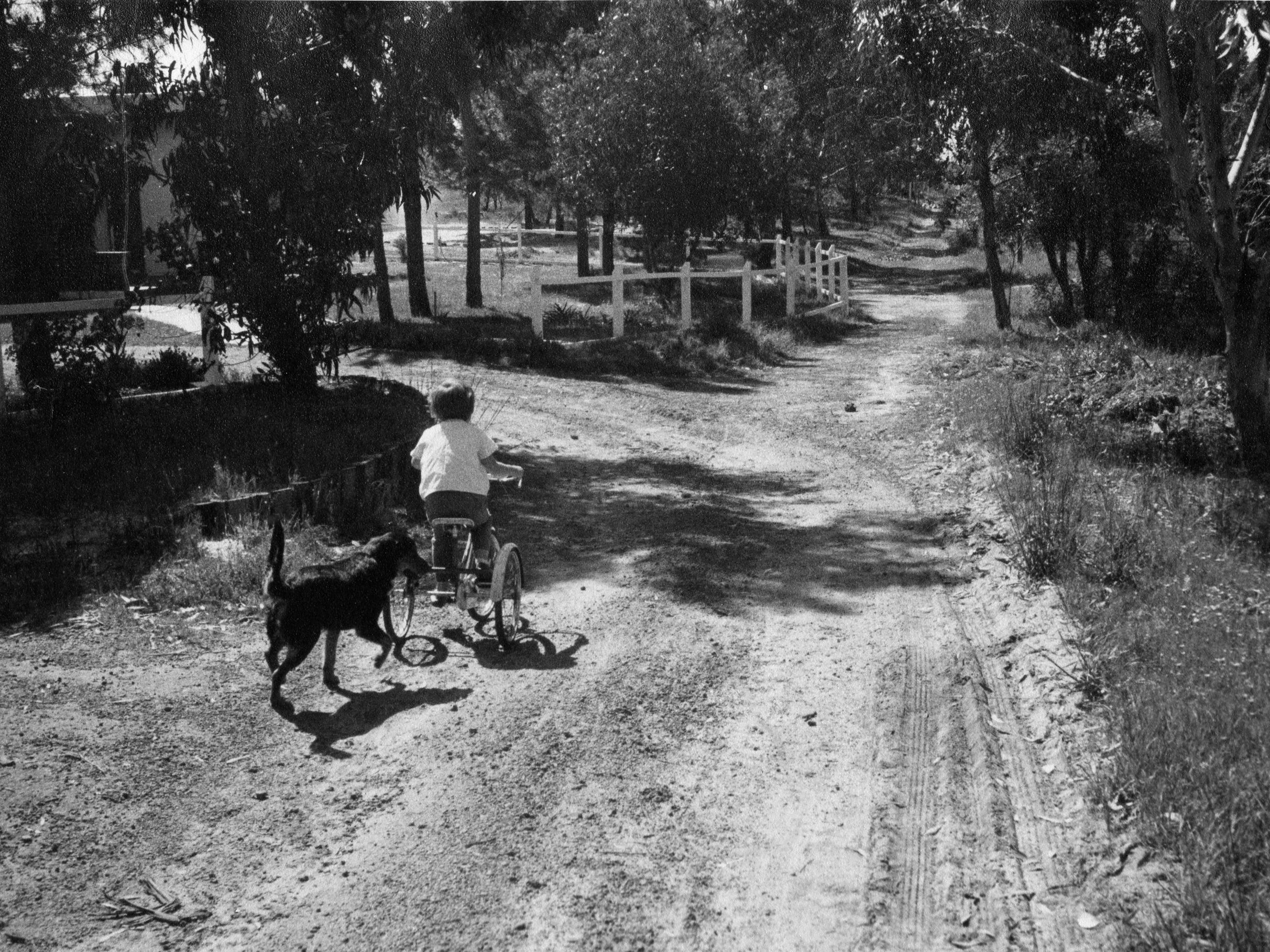BJ back lane 1967.jpg